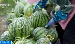 各大网红爆料吃瓜群,揭秘娱乐圈幕后真相